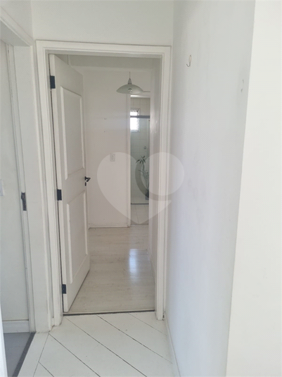Foto REO1117277