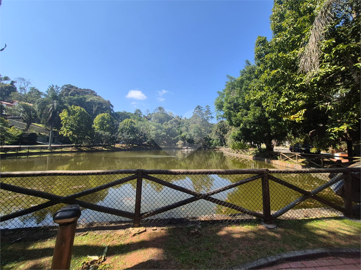 Foto REO1117278