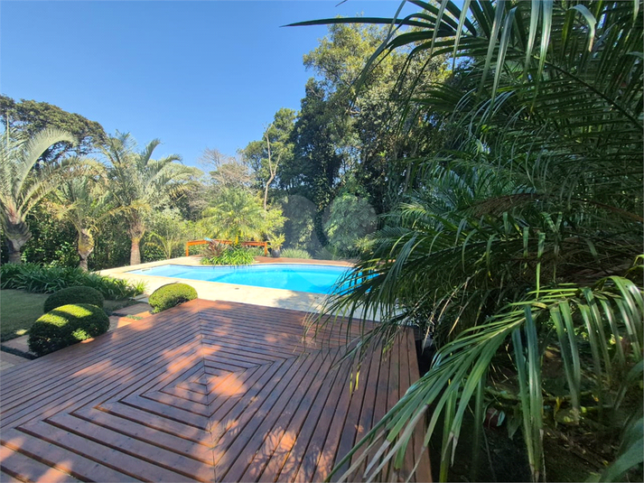 Foto REO1117278