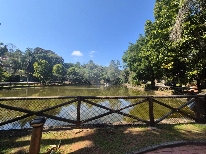 Foto REO1117278