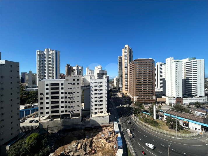 Foto REO1117281