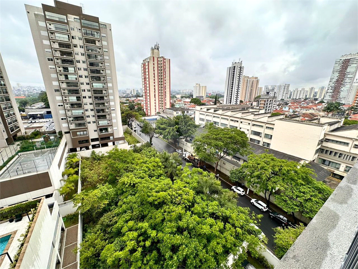 Foto REO1117283