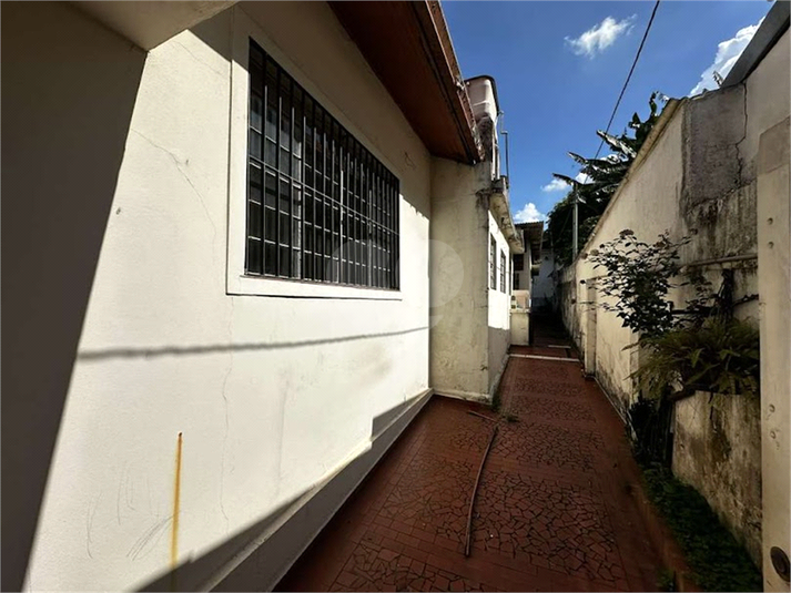Foto REO1117289