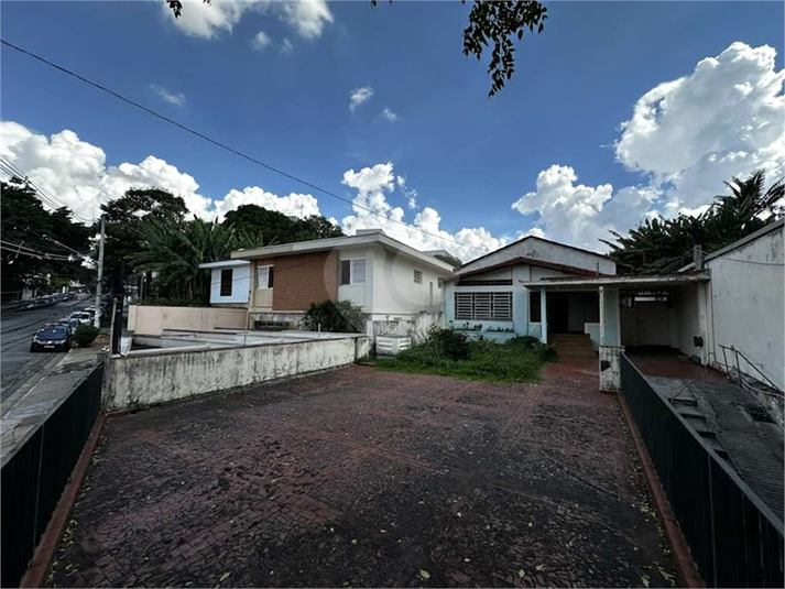 Foto REO1117289