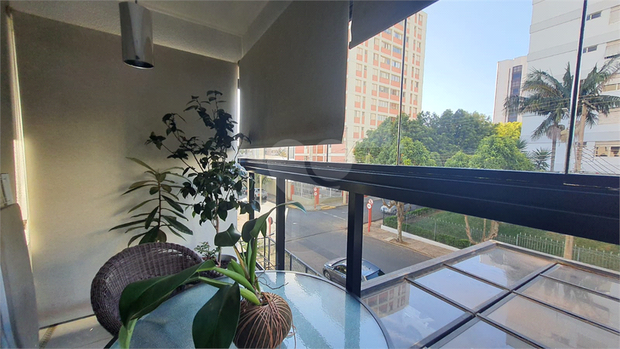 Foto REO1117299