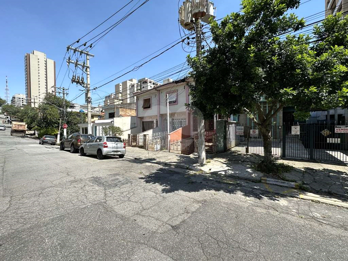 Foto REO1117306