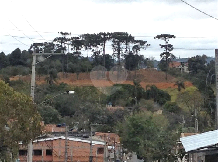 Foto REO1117308