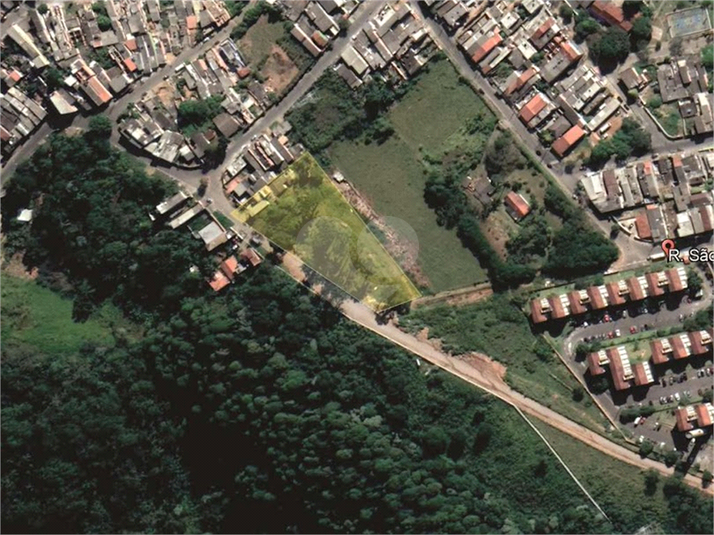 Foto REO1117308