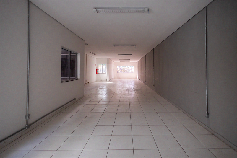 Foto REO1117315
