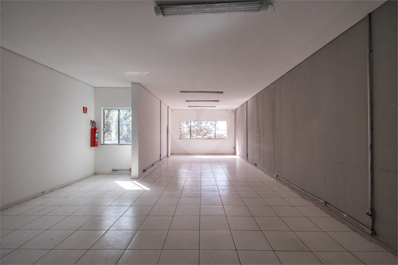 Foto REO1117315