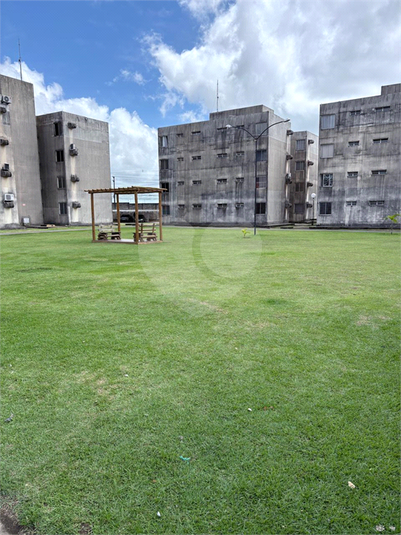 Foto REO1117321