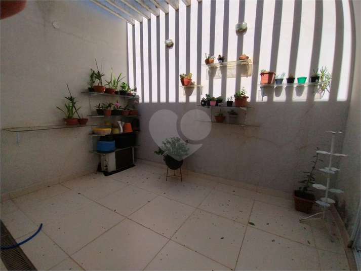 Foto REO1117326