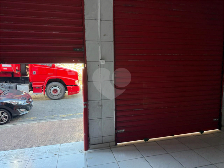 Foto REO1117332