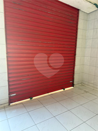 Foto REO1117332