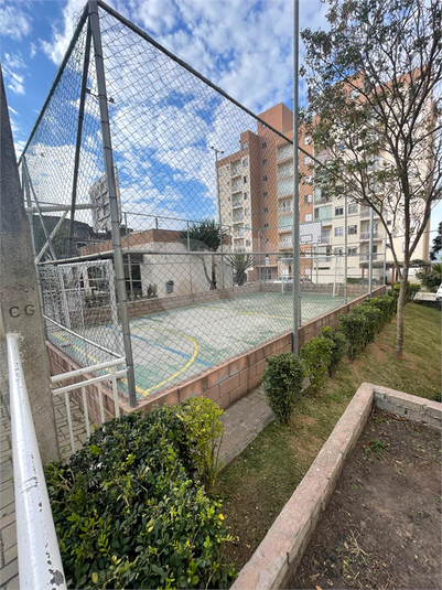 Foto REO1117350