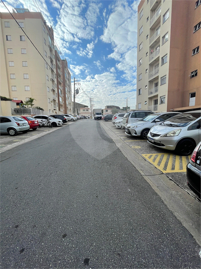 Foto REO1117350