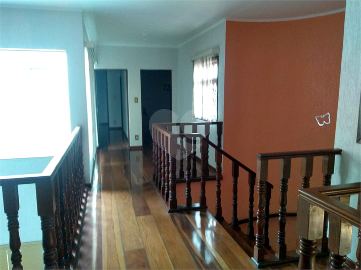 Foto REO1117351