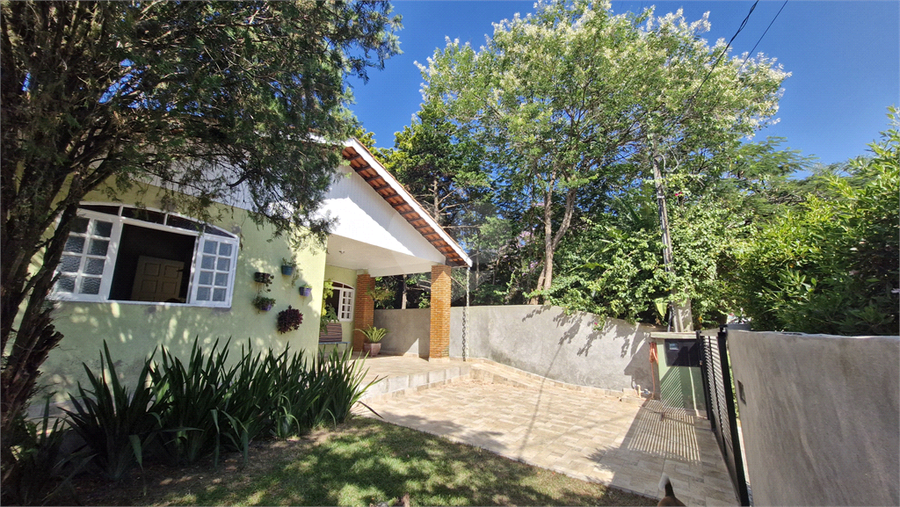 Foto REO1117352