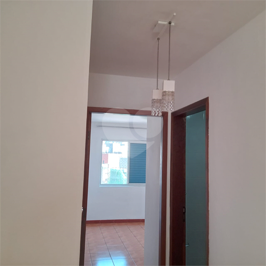 Foto REO1117356
