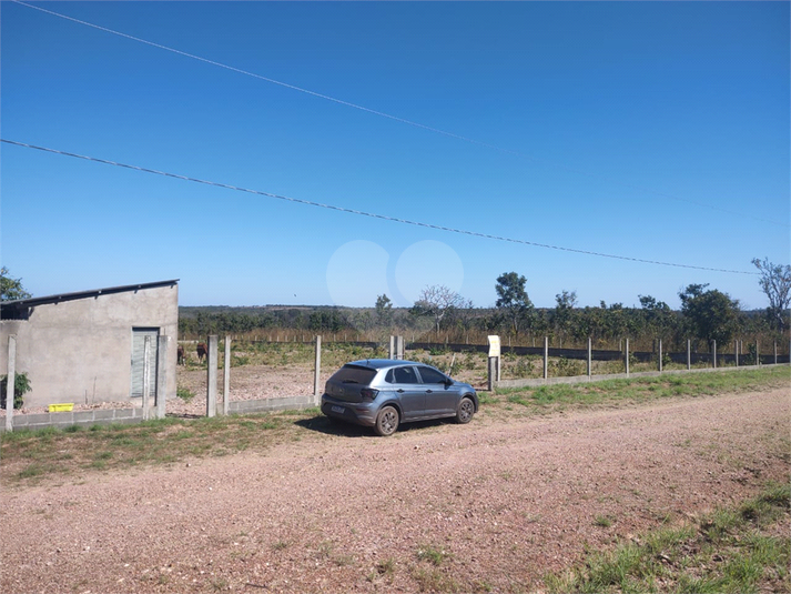 Foto REO1117362