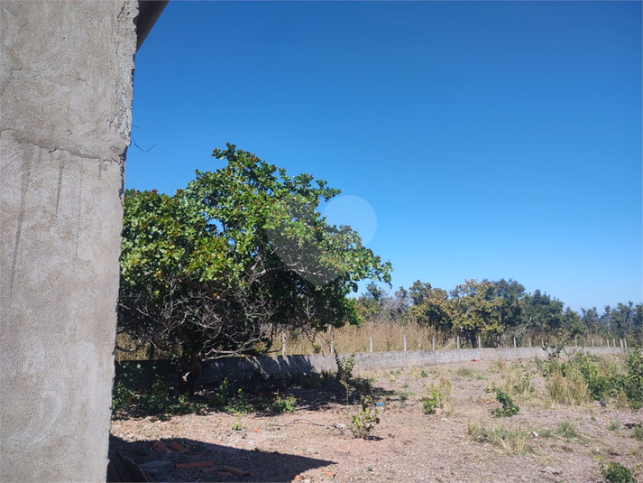 Foto REO1117362