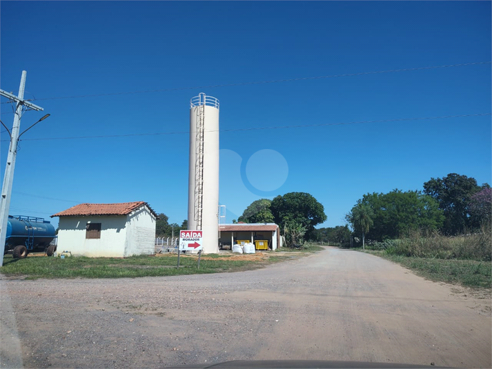 Foto REO1117362