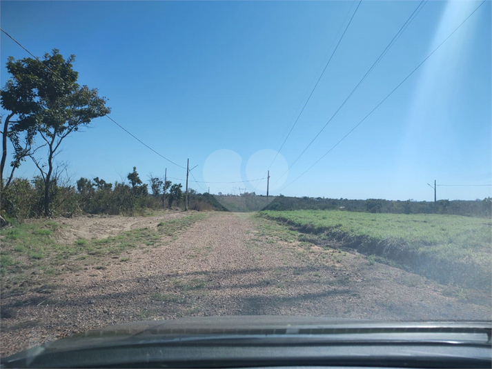 Foto REO1117362