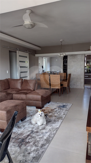 Foto REO1117363