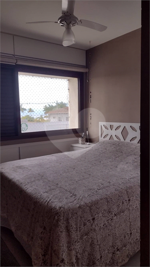 Foto REO1117363