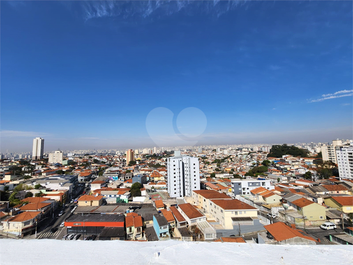 Foto REO1117364