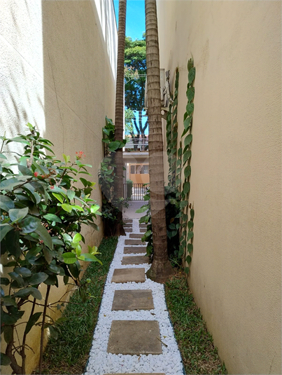 Foto REO111737