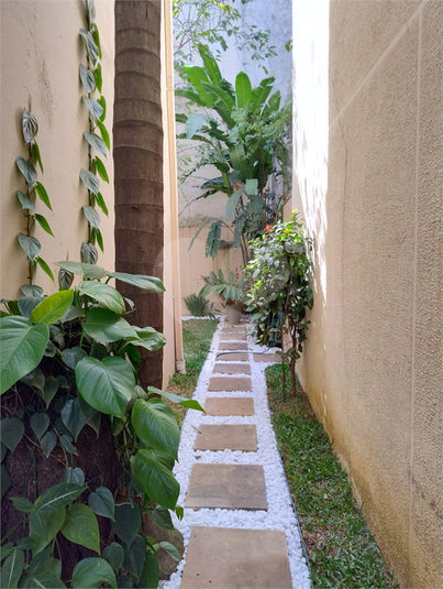 Foto REO111737