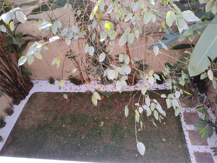 Foto REO111737
