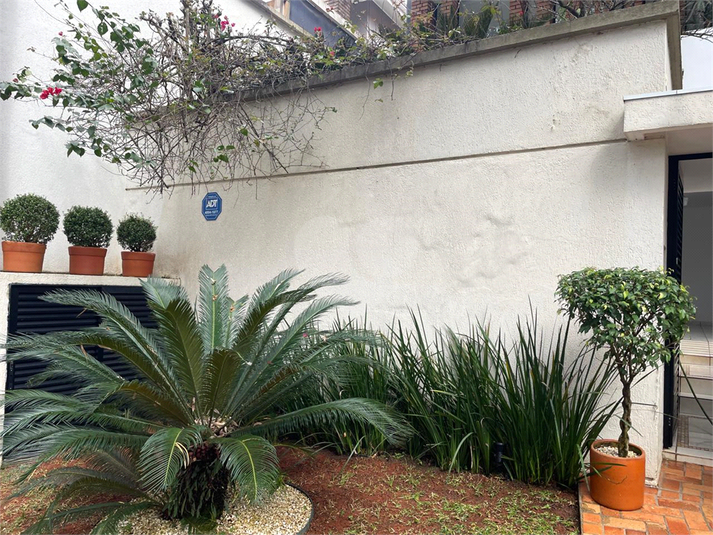 Foto REO1117381