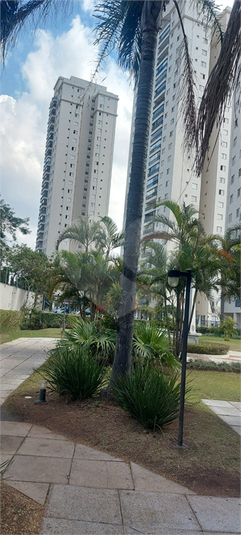 Foto REO1117382
