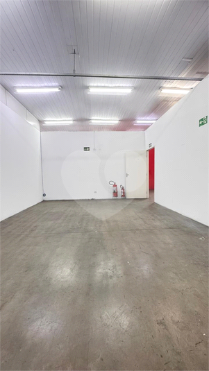 Foto REO1117386