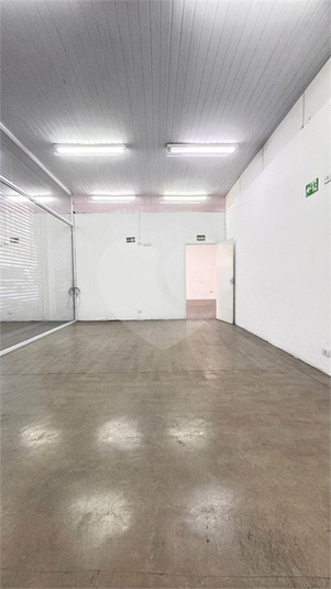 Foto REO1117386