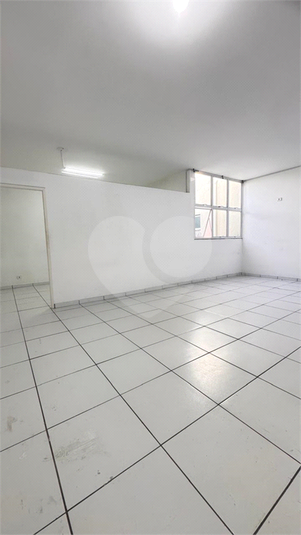 Foto REO1117386