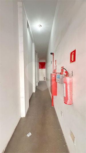 Foto REO1117386