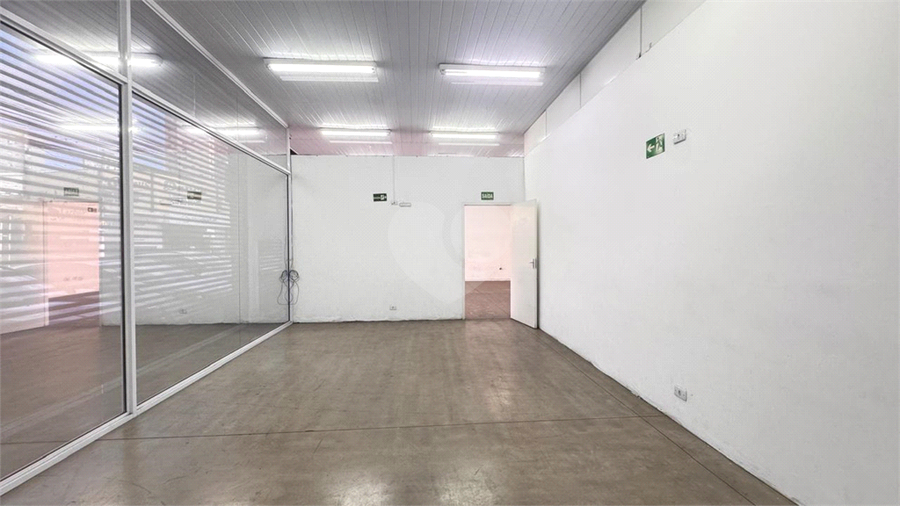 Foto REO1117386