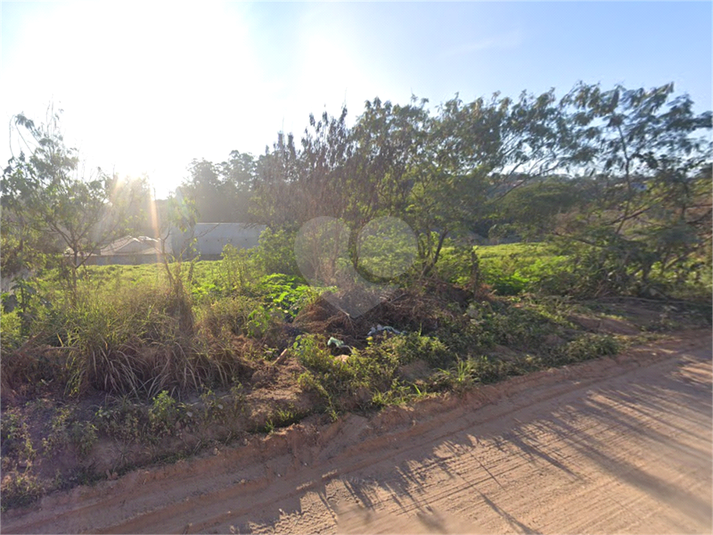 Foto REO1117391