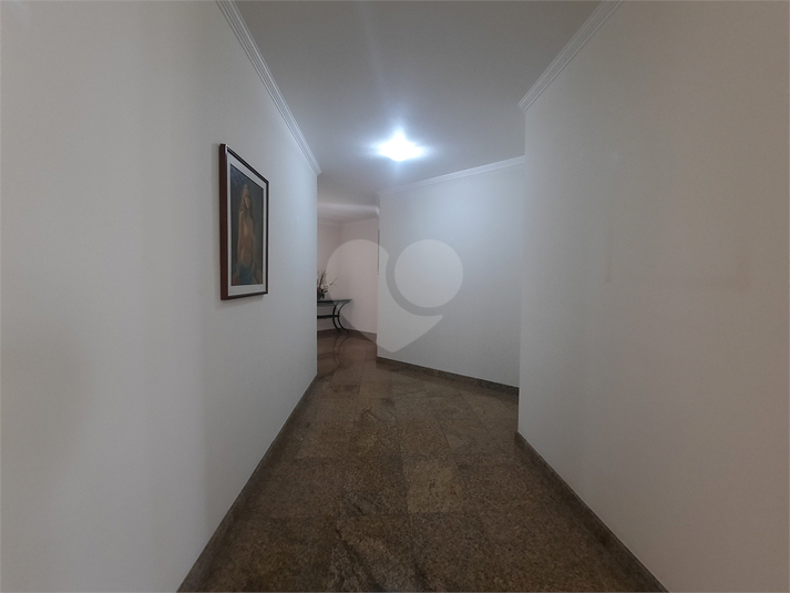 Foto REO1117394