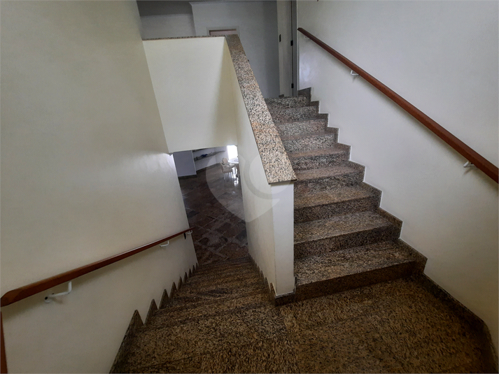 Foto REO1117394