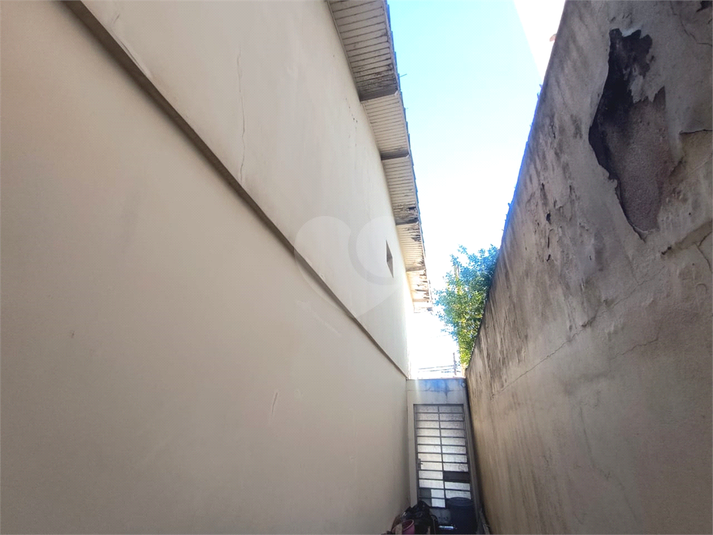 Foto REO1117398
