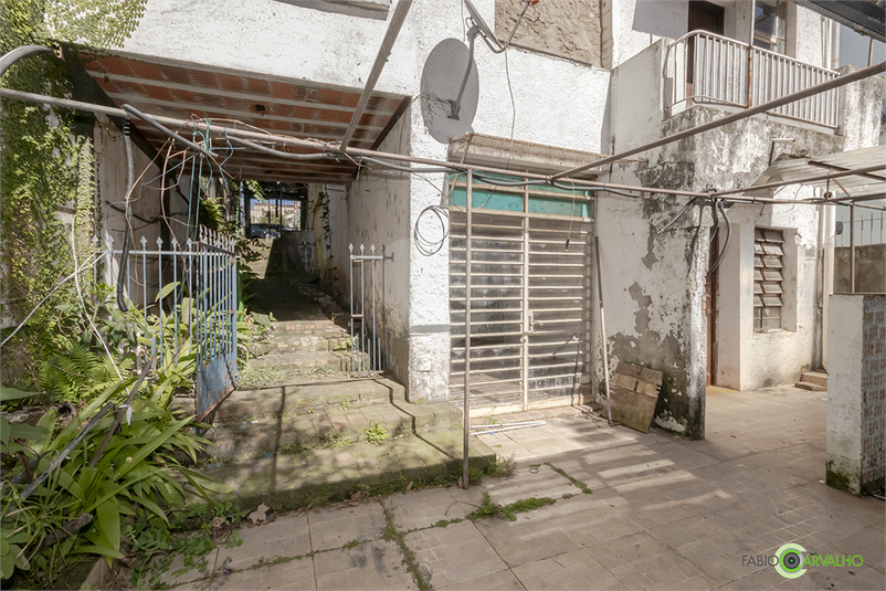 Foto REO1117405