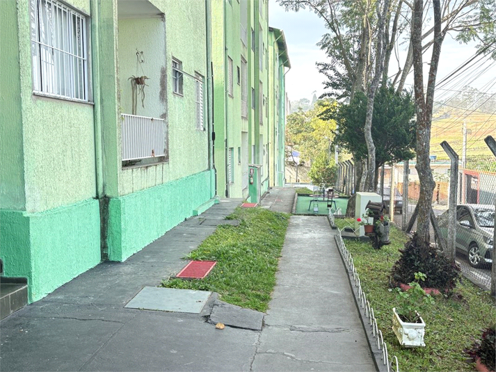 Foto REO1117406