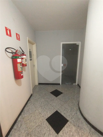 Foto REO1117412