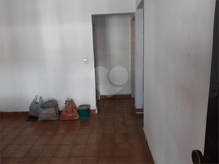 Foto REO1117417