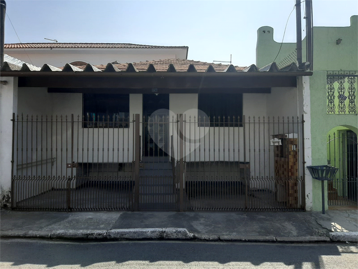 Foto REO1117417