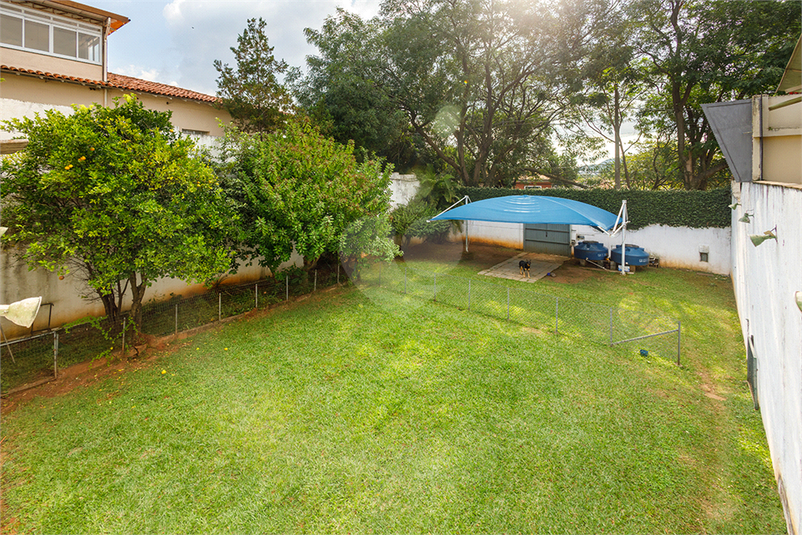 Foto REO1117418
